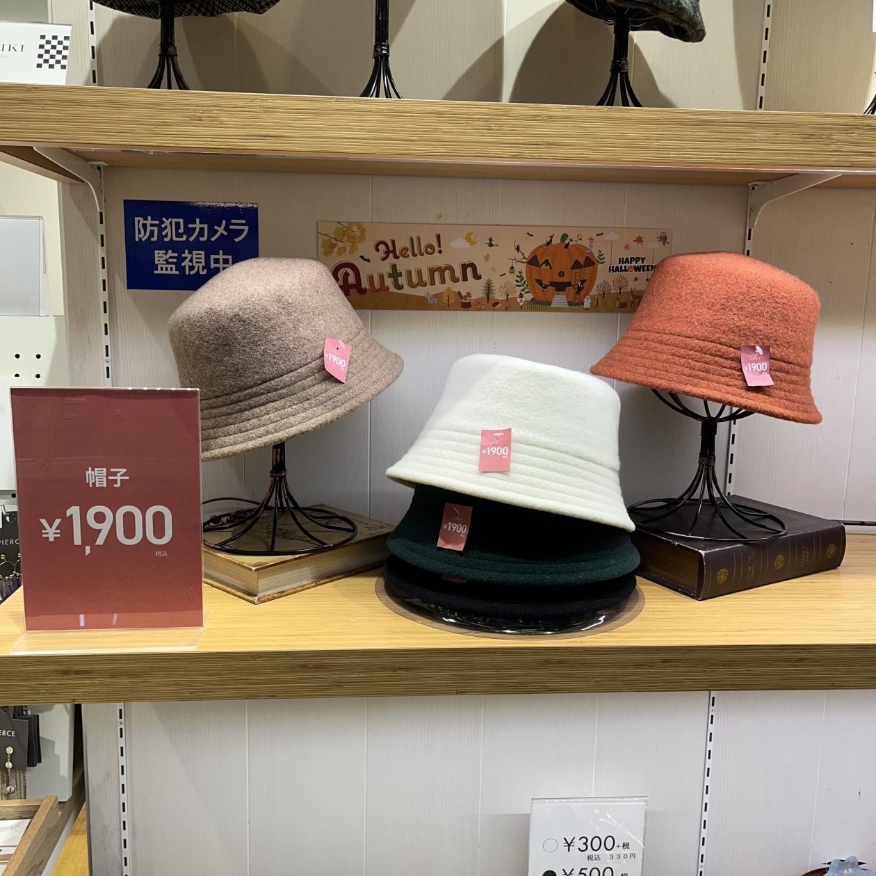 2024.10.10 ウールバケハ 1900円.jpeg